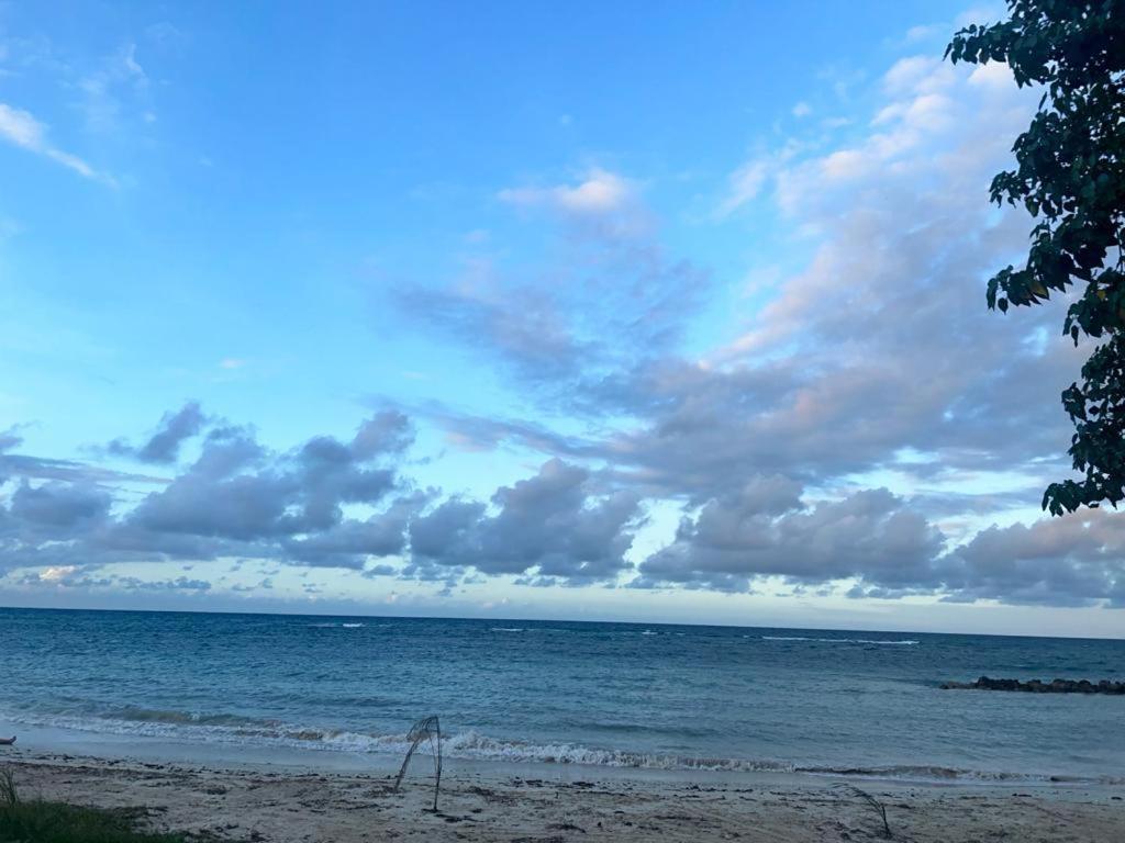 Sea Castles La Vue Apartment Montego Bay Exterior photo