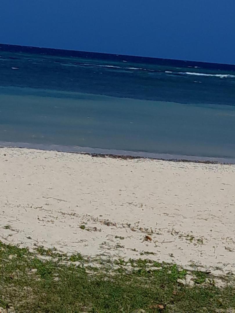 Sea Castles La Vue Apartment Montego Bay Exterior photo